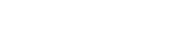 Logo TOLES
